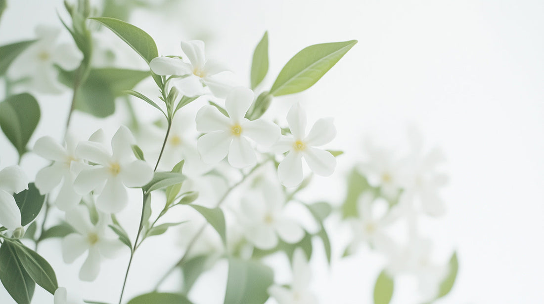 繊細マンの工夫：反省会とのつきあい方