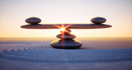 論理と感情のバランス