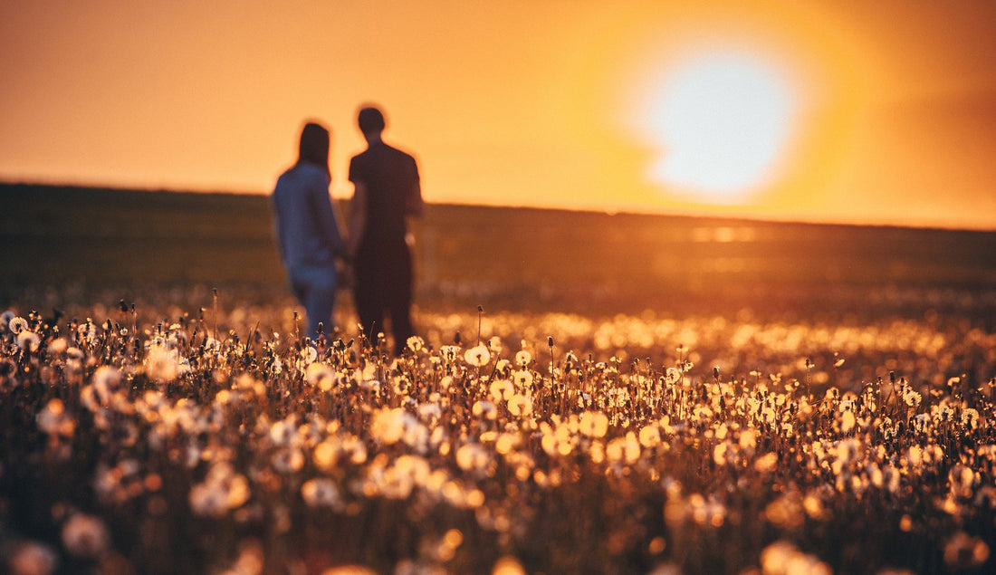 恋は、音楽のように進行する