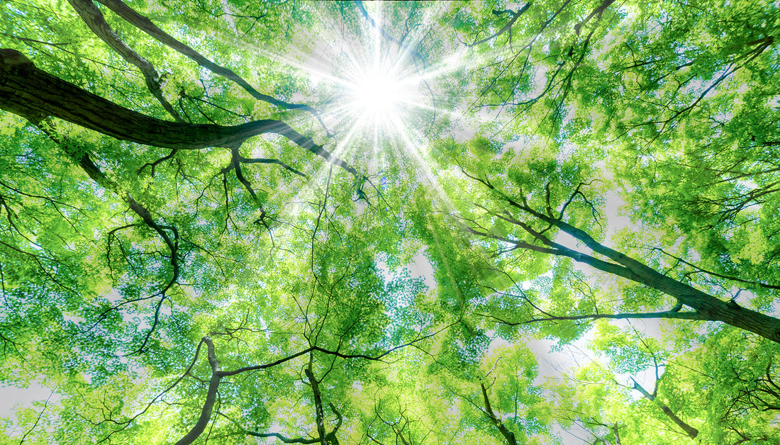 “成長”って、誰のためにするんだろう？