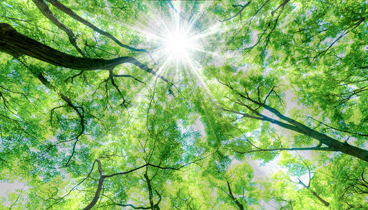 “成長”って、誰のためにするんだろう？