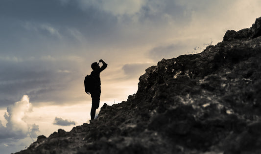 努力より、仕組みが勝つ理由