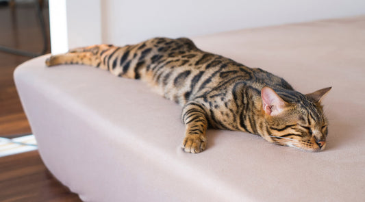 最近の「まあいっか」案件