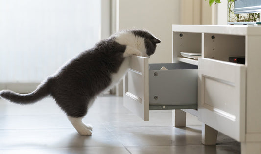 引き出しを閉める音で、その人の性格がわかる？